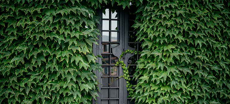 Garden Gate Repair in Florida Ridge, FL