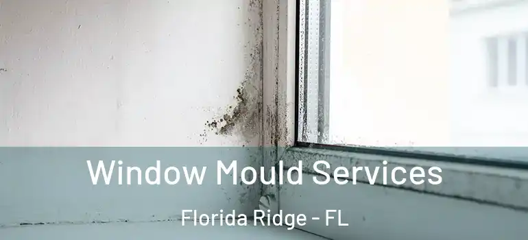  Window Mould Services Florida Ridge - FL